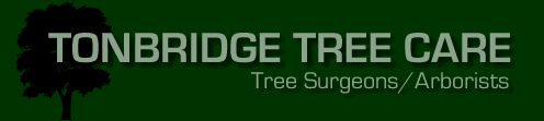 Tonbridge Tree Care - Tree  Surgeons and Arborists Tonbridge Tunbridge Wells Sevenoaks